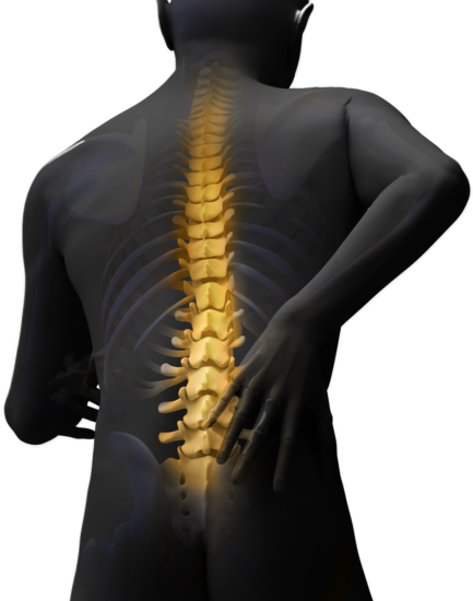 Die Aufgaben der Chiropraktik